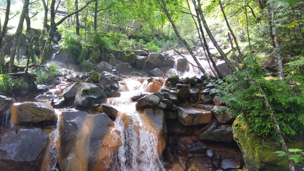 硫黄岳登山道で見た、苔むした岩と清流の風景